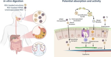Resveratrol-loaded octenyl succinic anhydride modified starch emulsions and hydroxypropyl methylcellulose (HPMC) microparticles: Cytotoxicity and antioxidant bioactivity assessment after in vitro digestion