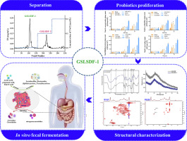 Identification and structural characterization of key prebiotic fraction of soluble dietary fiber from grapefruit peel sponge layer and its regulation effect on gut microbiota