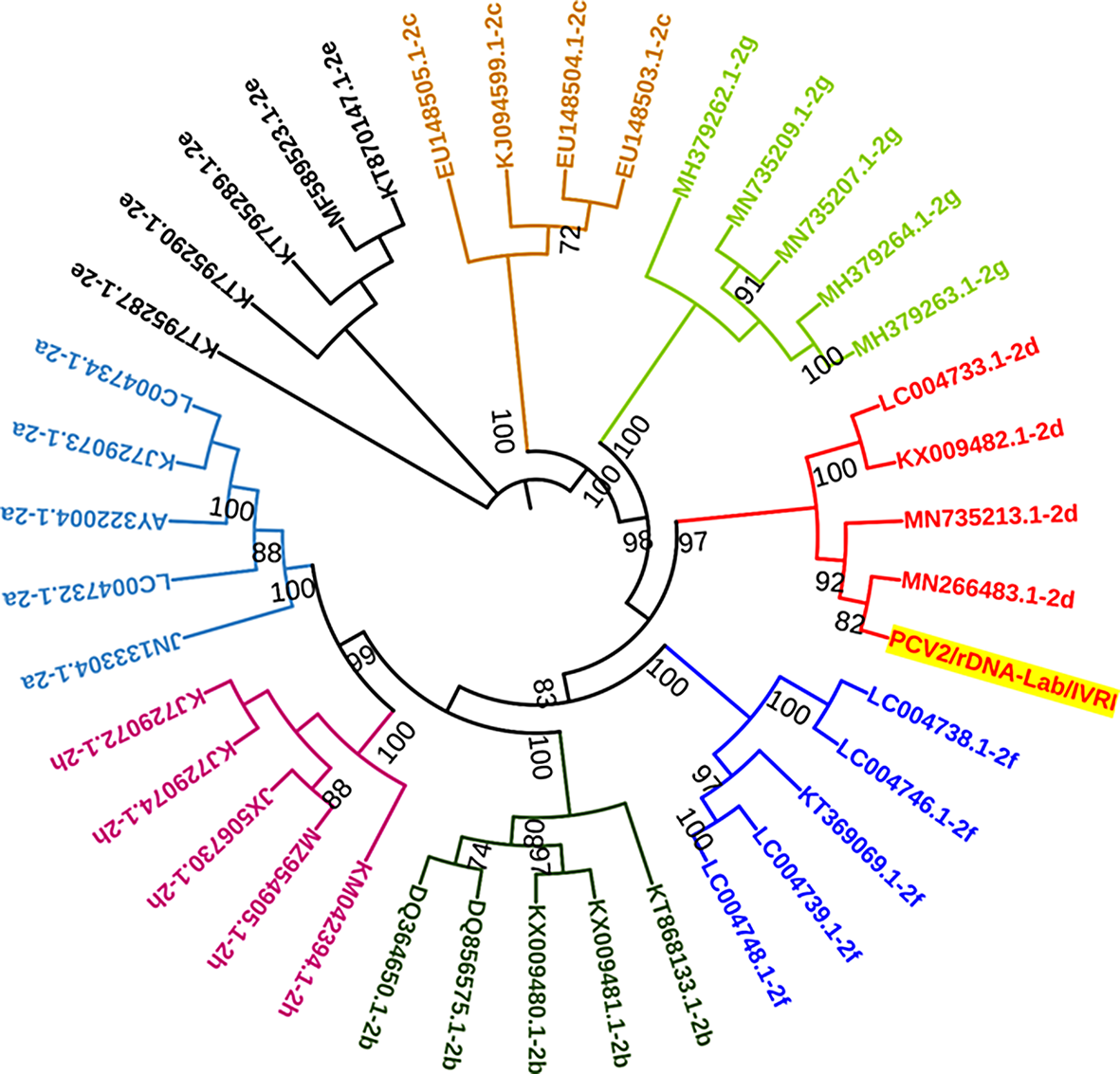 Development of recombinant capsid protein-based single serum dilution ELISA for sero-detection of porcine circovirus type 2 infection in pigs