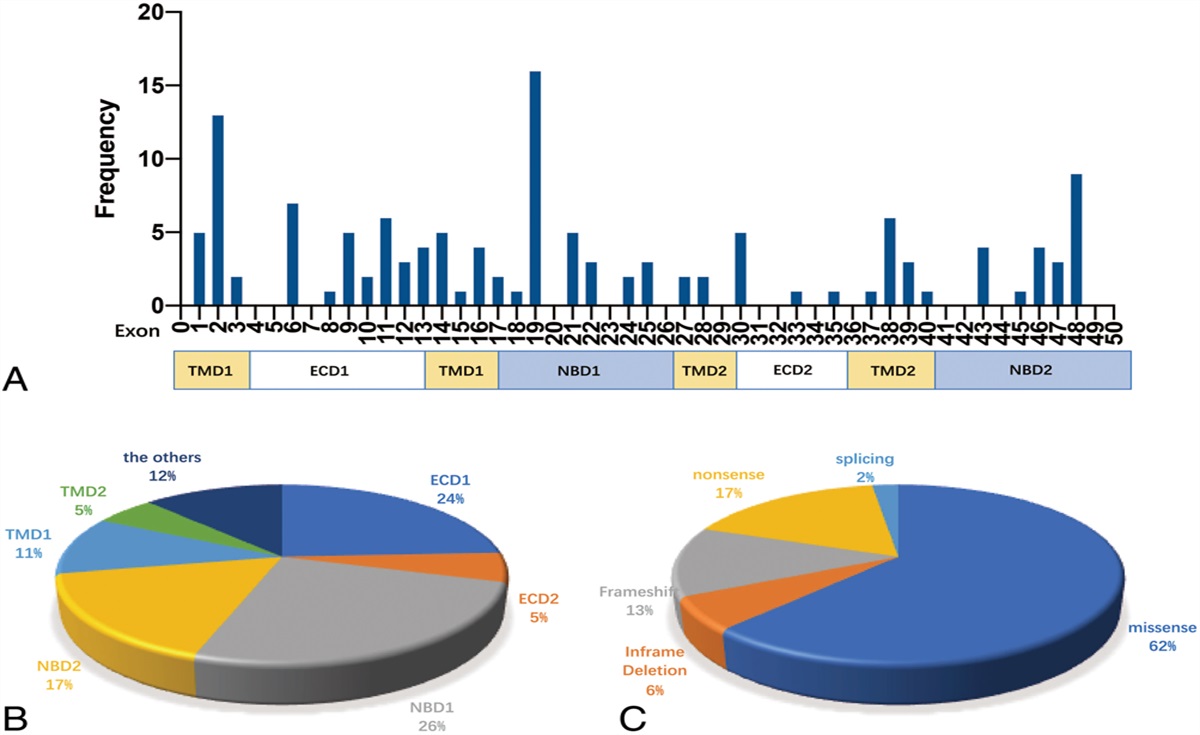 GENETIC FACTORS AND CHARACTERISTICS ON SPECTRAL-DOMAIN OPTICAL COHERENCE TOMOGRAPHY ARE ASSOCIATED WITH CHOROIDAL THICKNESS IN ABCA4-RELATED RETINOPATHY