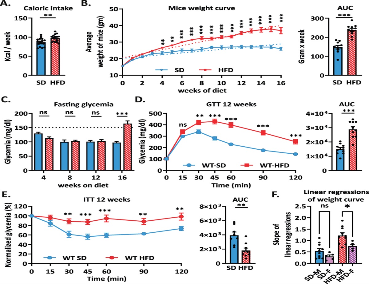 Acid-sensing ion channel 3 mediates pain hypersensitivity associated with high-fat diet consumption in mice