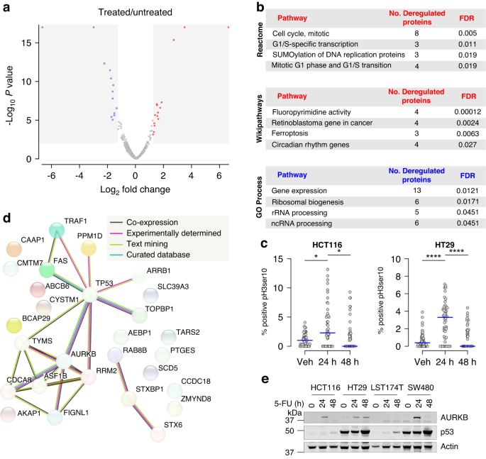 Inhibition of Aurora B kinase (AURKB) enhances the effectiveness of 5-fluorouracil chemotherapy against colorectal cancer cells