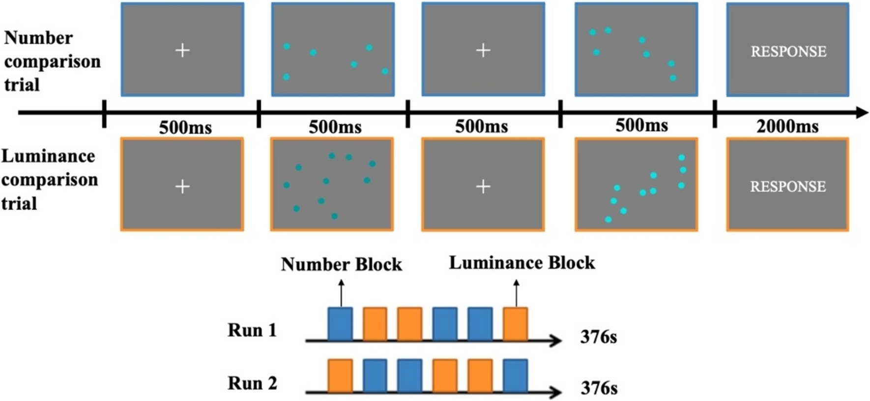 Inter-individual, hemispheric and sex variability of brain activations during numerosity processing