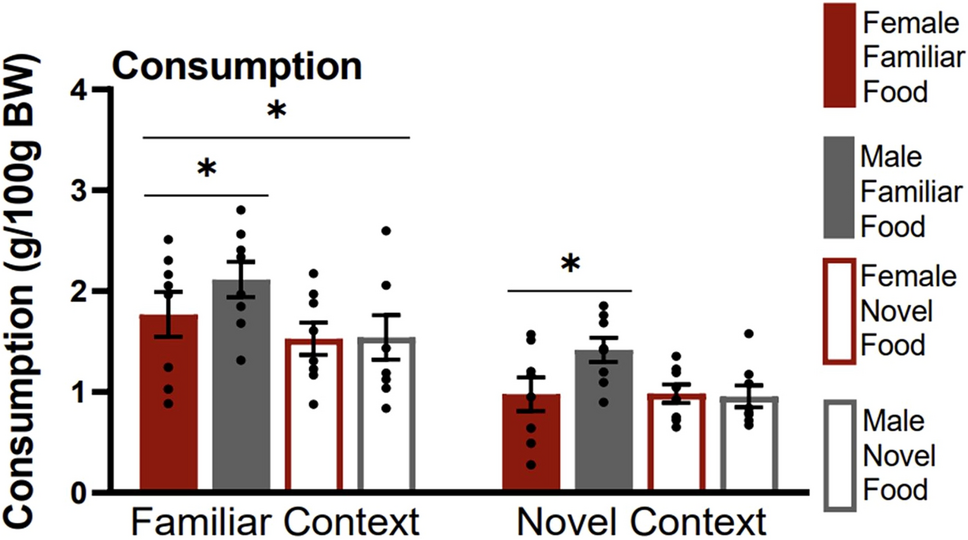 Activation patterns in male and female forebrain circuitries during food consumption under novelty