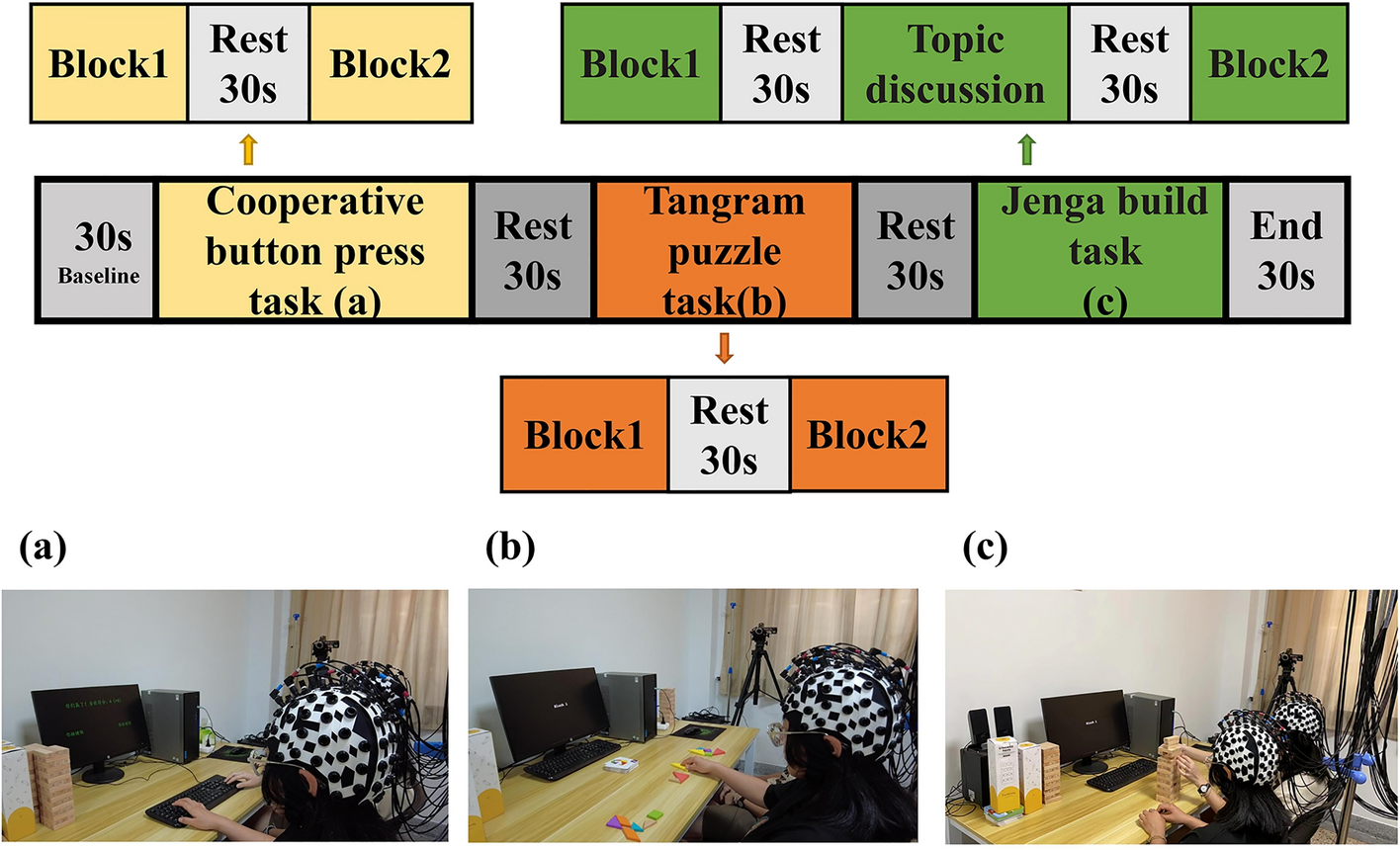 Inter-brain neural mechanism and influencing factors underlying different cooperative behaviors: a hyperscanning study