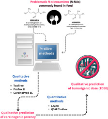 The comprehensive prediction of carcinogenic potency and tumorigenic dose (TD50) for two problematic N-nitrosamines in food: NMAMPA and NMAMBA using toxicology in silico methods