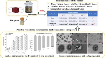 Oil addition increases the heat resistance of Clostridium sporogenes spores in braised sauce beef: Perspectives from spore surface characteristics and microstructure