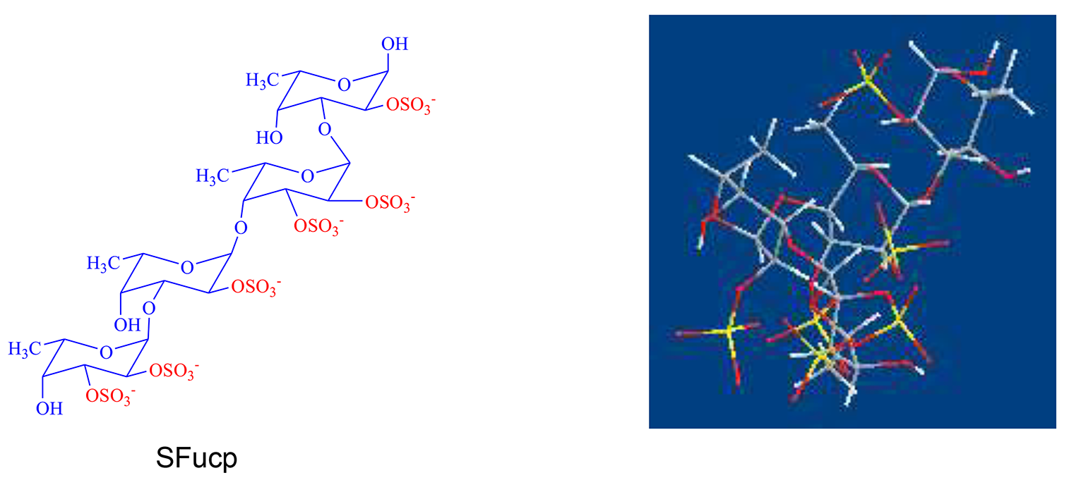 Sulphated Fucooligosaccharide from Sargassum Horneri: Structural Analysis and Anti-Alzheimer Activity