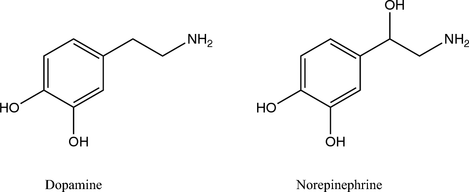 Stabilization and Reduced Cytotoxicity of Amyloid Beta Aggregates in the Presence of Catechol Neurotransmitters