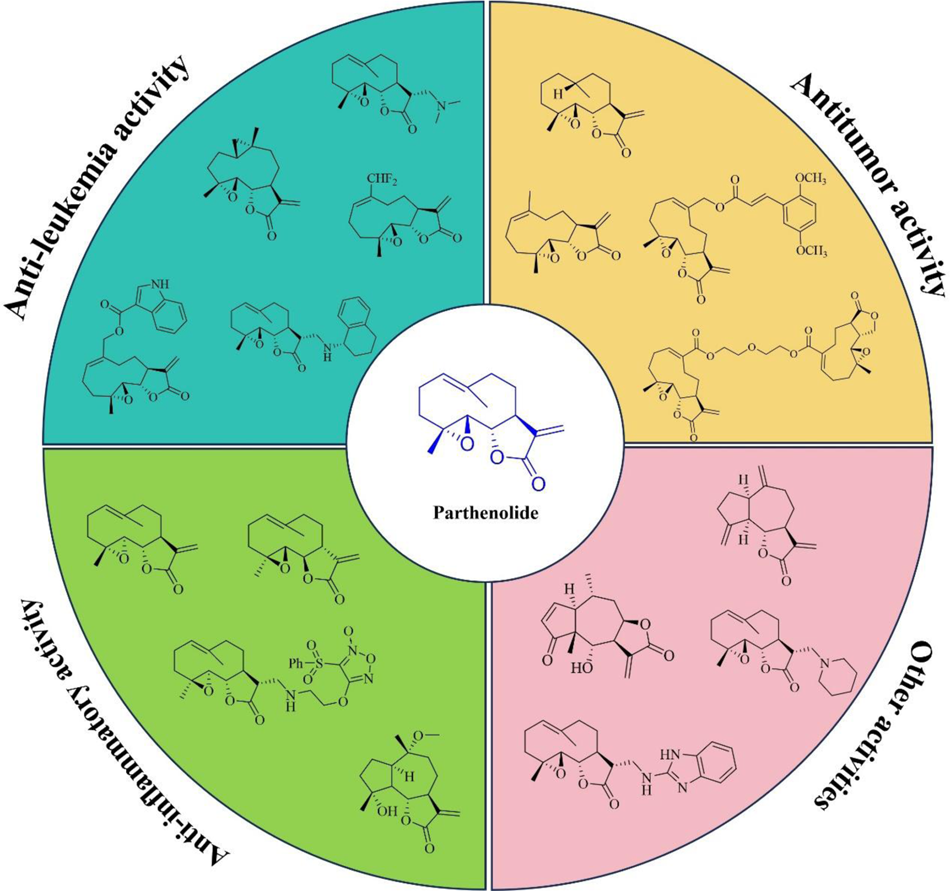 Bioactivities and the structural modification of Parthenolide: a review