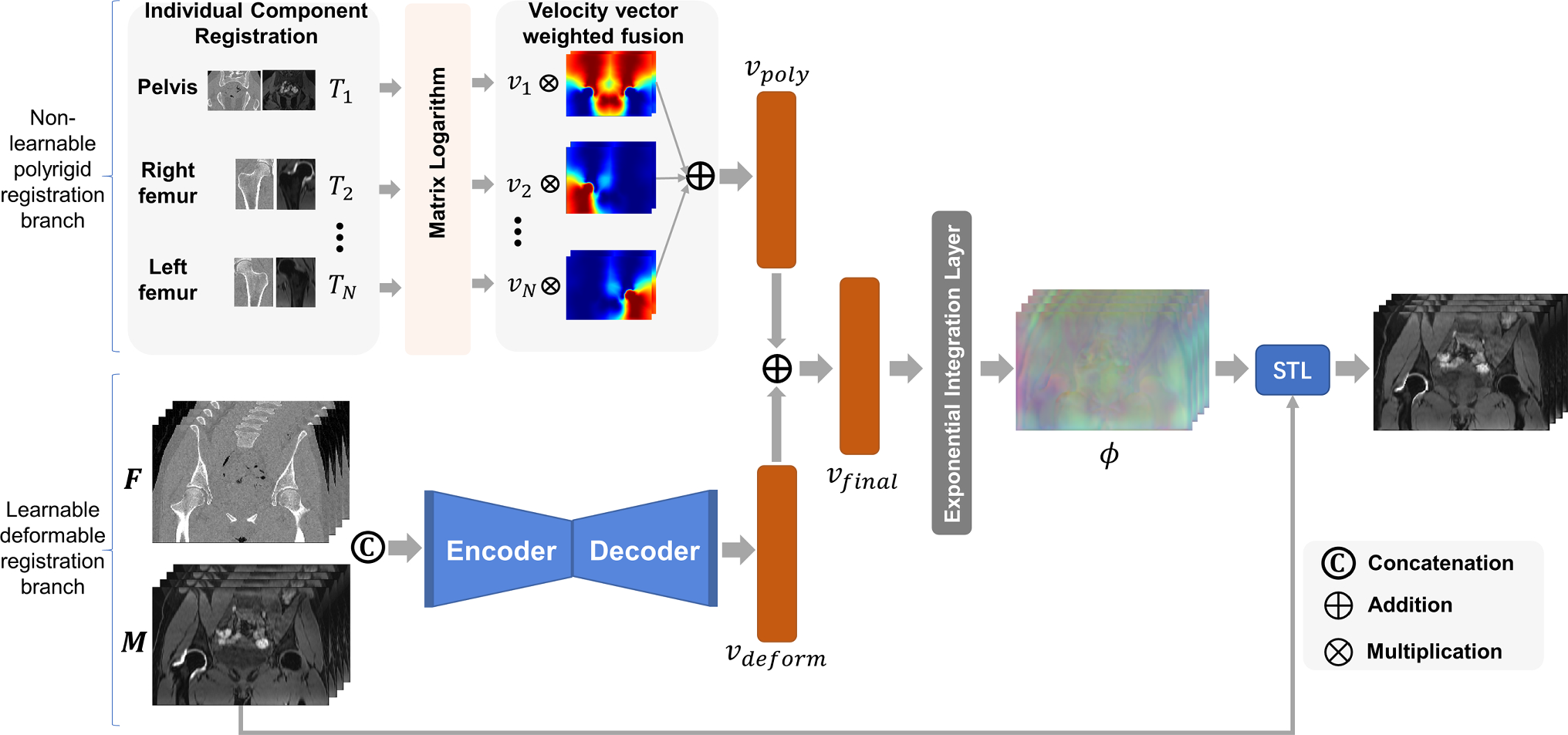 MAIRNet: weakly supervised anatomy-aware multimodal articulated image registration network