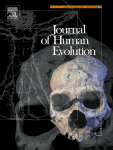 Using machine learning on new feature sets extracted from three-dimensional models of broken animal bones to classify fragments according to break agent