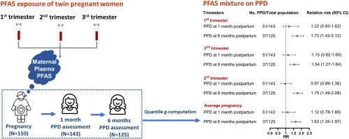 Prenatal exposure to poly- and perfluoroalkyl substances and postpartum depression in women with twin pregnancies