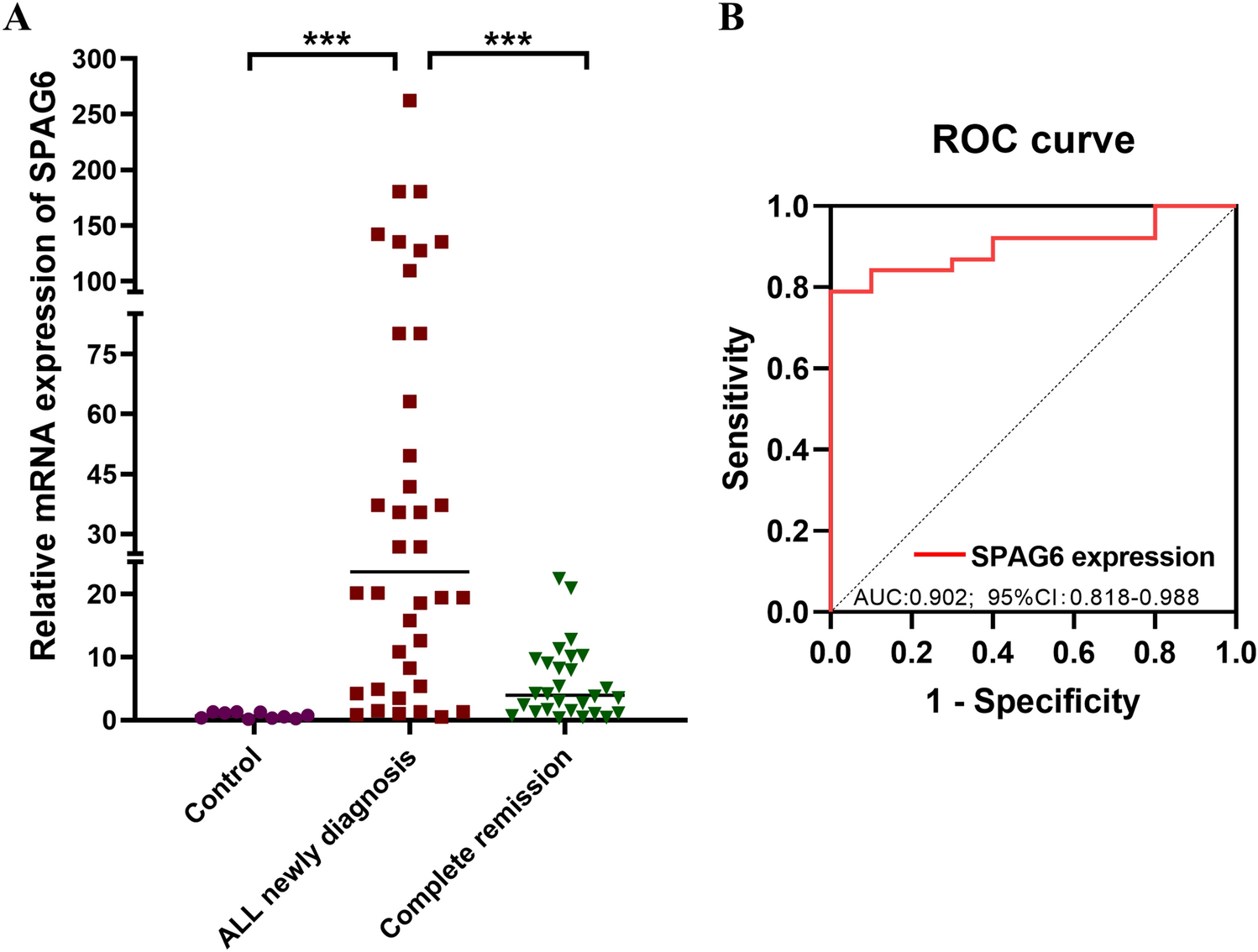 SPAG6 regulates cell proliferation and apoptosis via TGF-β/Smad signal pathway in adult B-cell acute lymphoblastic leukemia