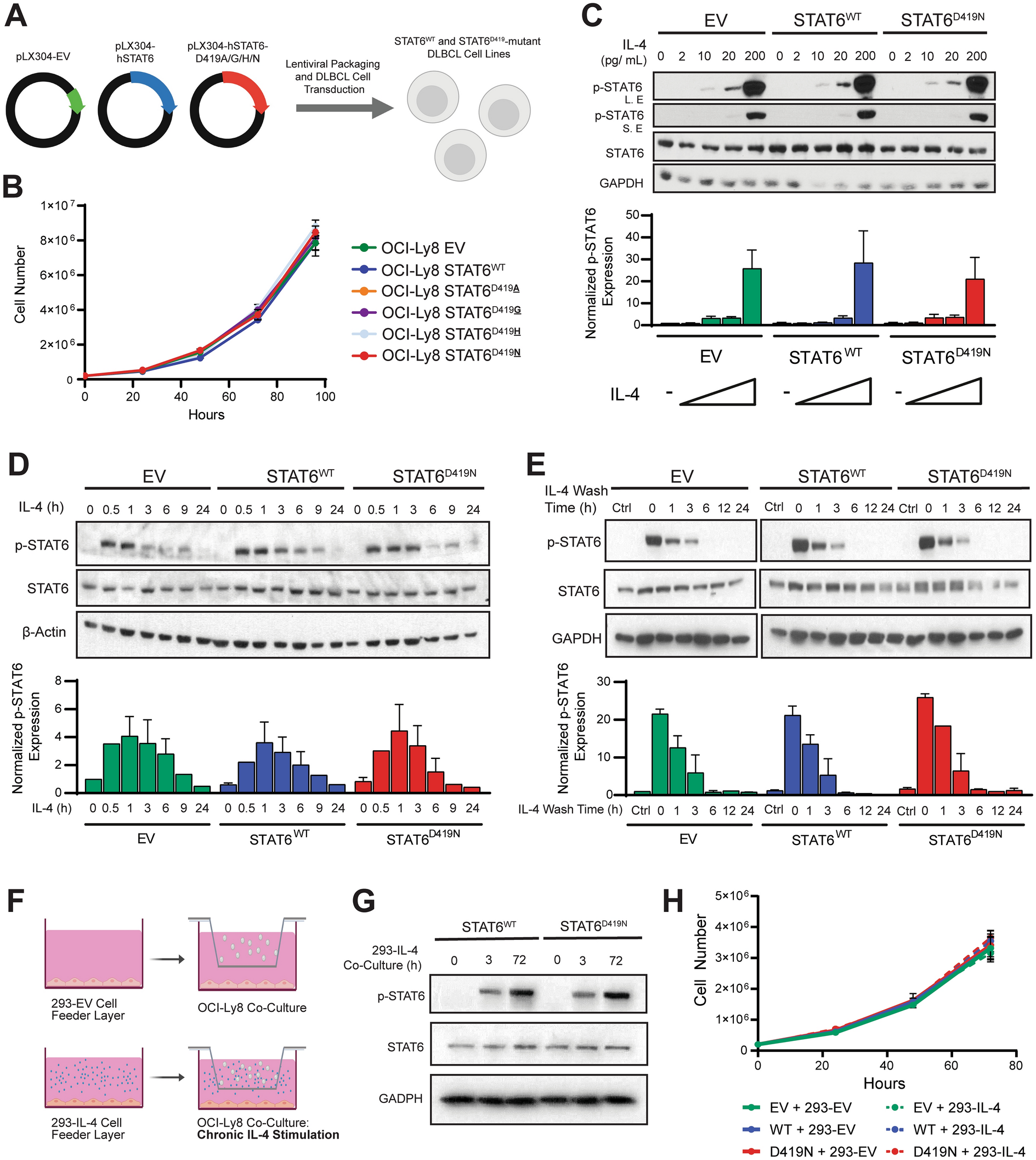 STAT6 mutations enriched at diffuse large B-cell lymphoma relapse reshape the tumor microenvironment