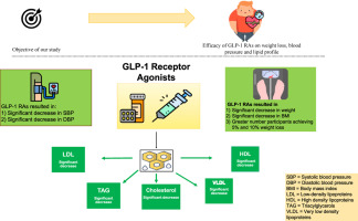 Efficacy and Safety of Glucagon-Like Peptide-1 Receptor Agonists on Body Weight and Cardiometabolic Parameters in Individuals With Obesity and Without Diabetes: A Systematic Review and Meta-Analysis
