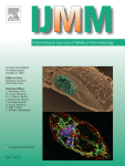 Antifungal and anti-biofilm activities of patchouli alcohol against Candida albicans