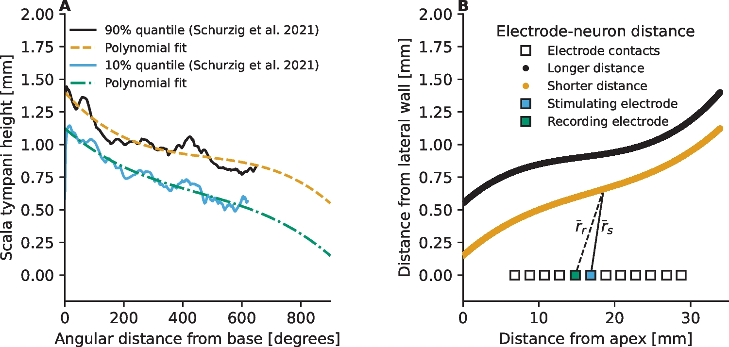 Insights Into Electrophysiological Metrics of Cochlear Health in Cochlear Implant Users Using a Computational Model