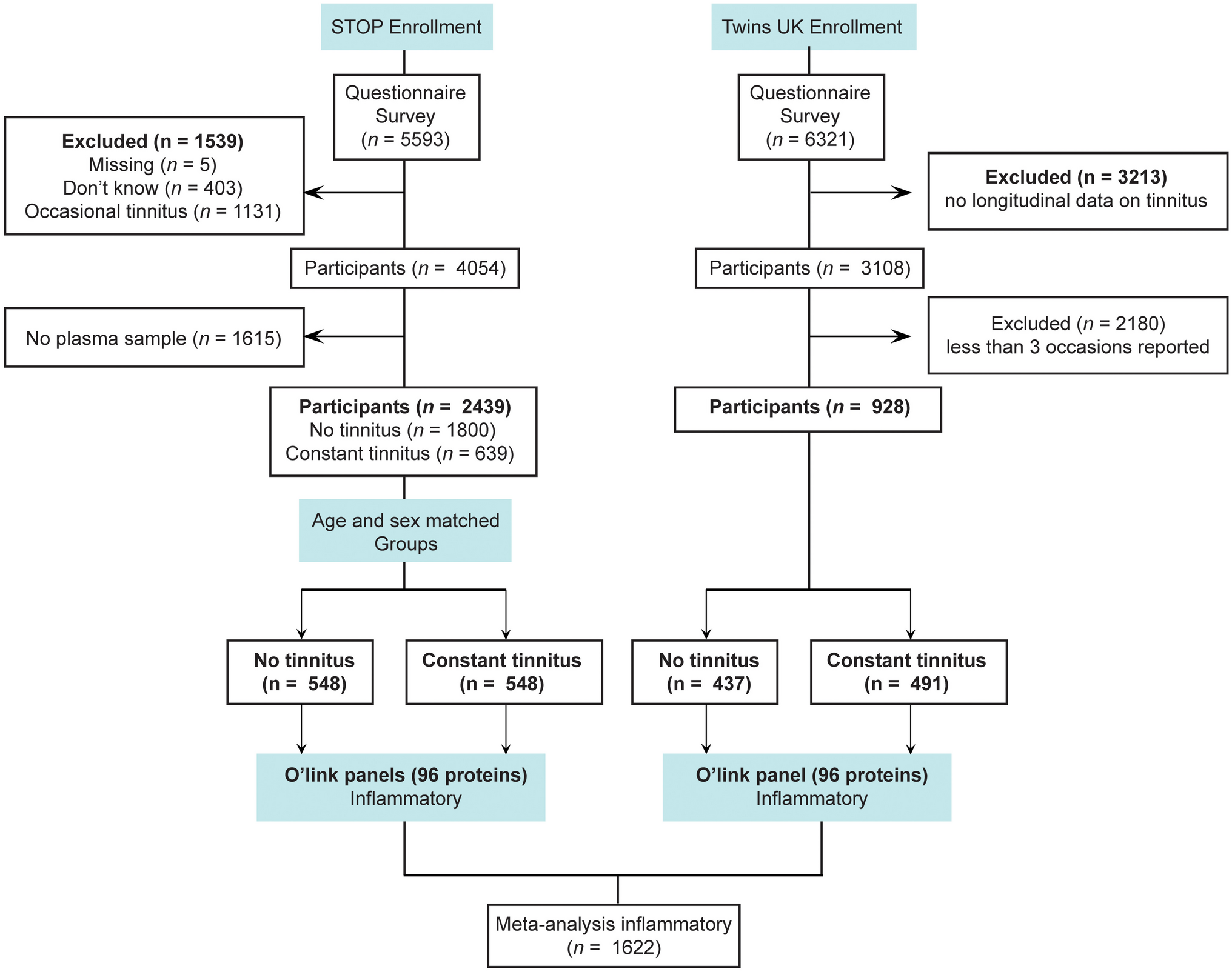 Screening for Circulating Inflammatory Proteins Does Not Reveal Plasma Biomarkers of Constant Tinnitus