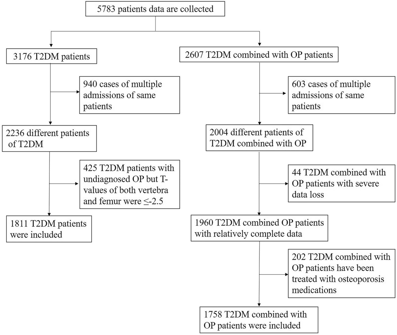 Clinical risk factors analysis and prevention of osteoporosis as a complication of diabetes