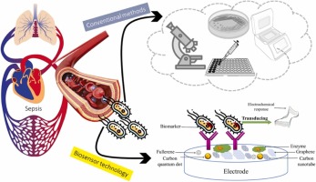 Nanomaterial-based methods for sepsis management