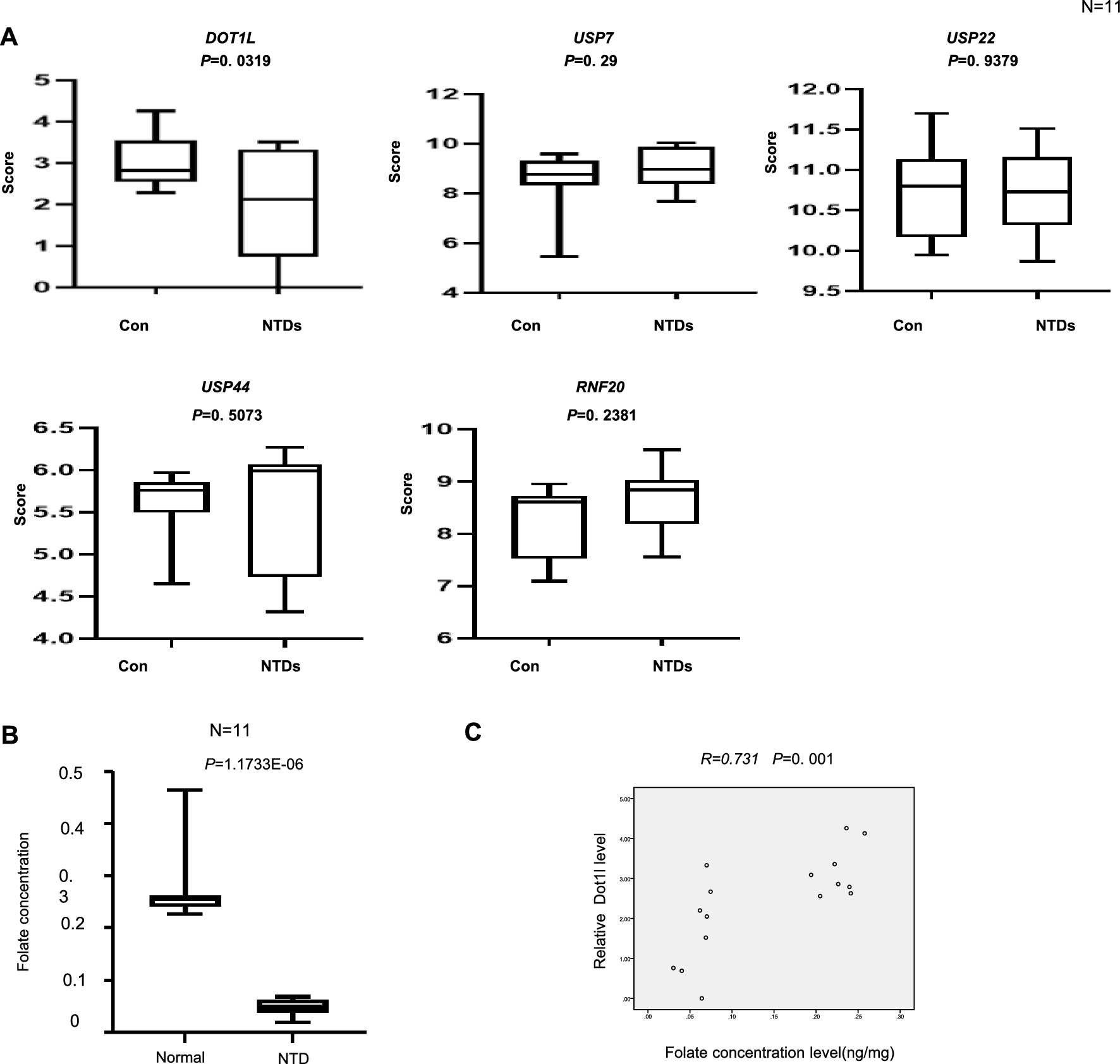 Folate deficiency reduced aberrant level of DOT1L-mediated histone H3K79 methylation causes disruptive SHH gene expression involved in neural tube defects