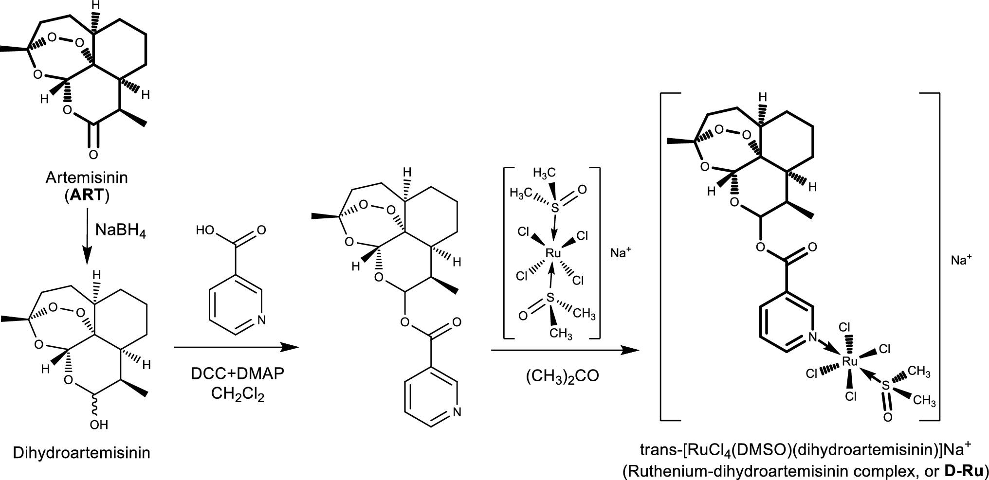 Ruthenium–dihydroartemisinin complex: a promising new compound for colon cancer prevention via G1 cell cycle arrest, apoptotic induction, and adaptive immune regulation