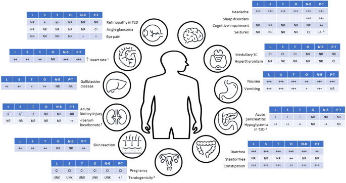 What is the evidence regarding the safety of new obesity pharmacotherapies