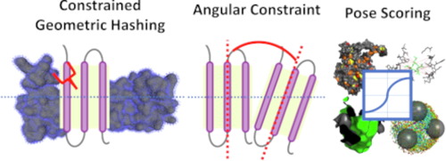 Assembly of Protein Complexes in and on the Membrane with Predicted Spatial Arrangement Constraints