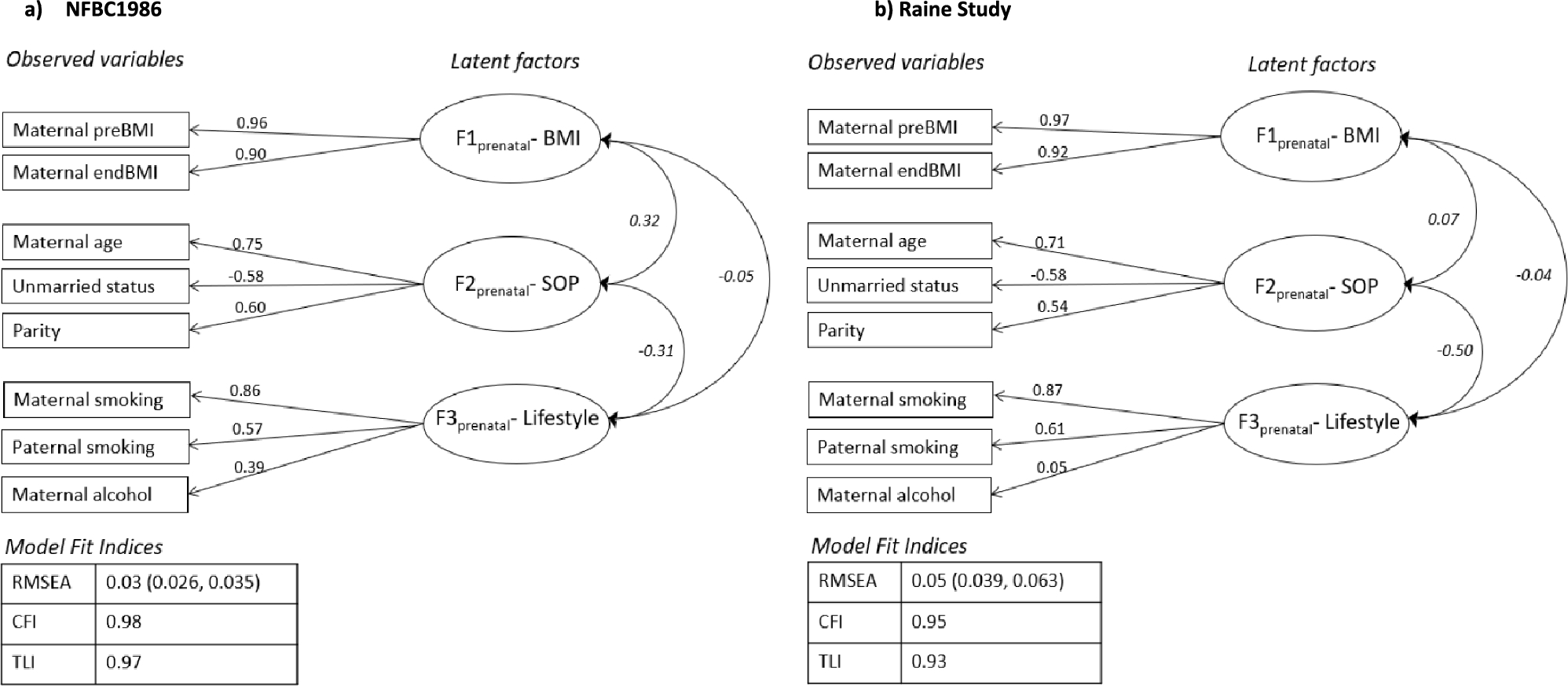 Developmental origins of psycho-cardiometabolic multimorbidity in adolescence and their underlying pathways through methylation markers: a two-cohort study