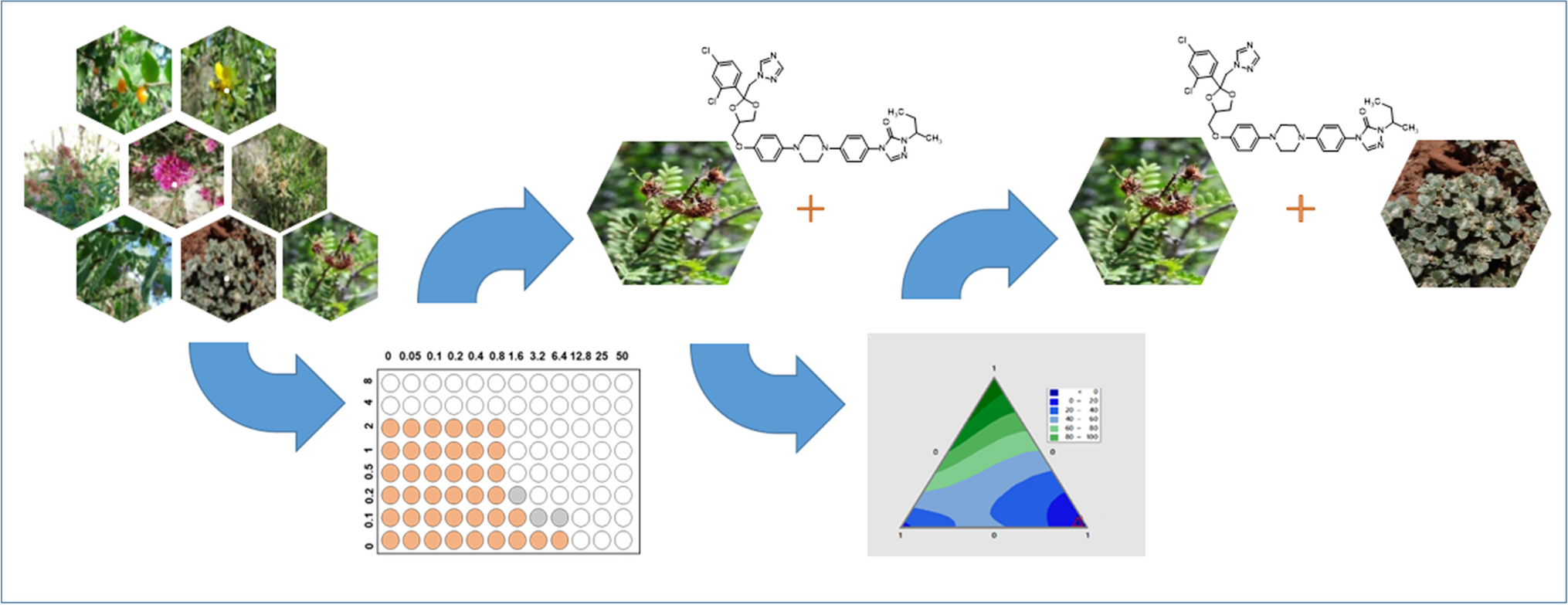Combined Antifungal Effect of Plant Extracts and Itraconazole Against Candida albicans