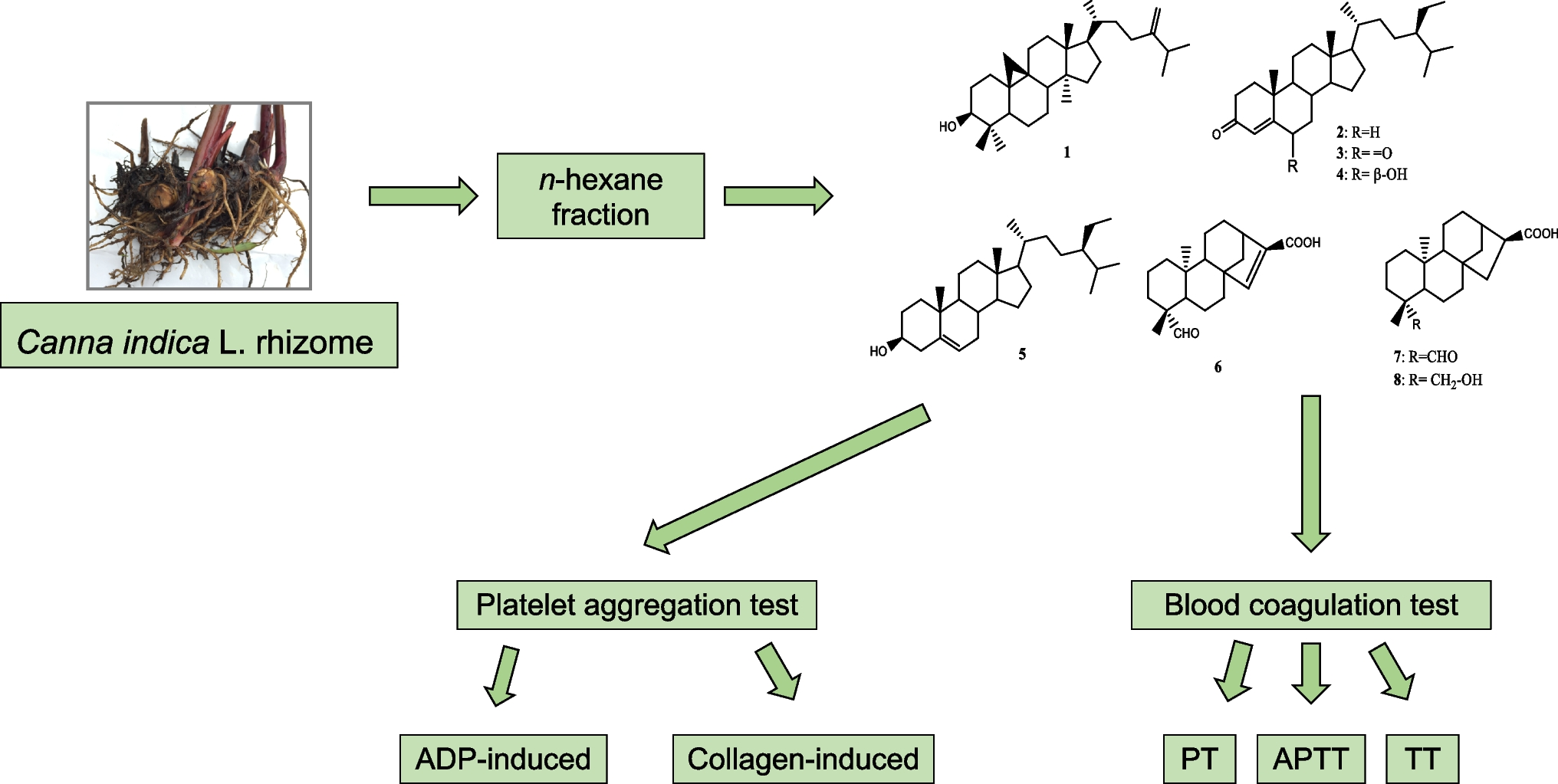 Antithrombotic Activity of the Steroids and ent-Kaurane Diterpenoids from Canna indica Rhizomes