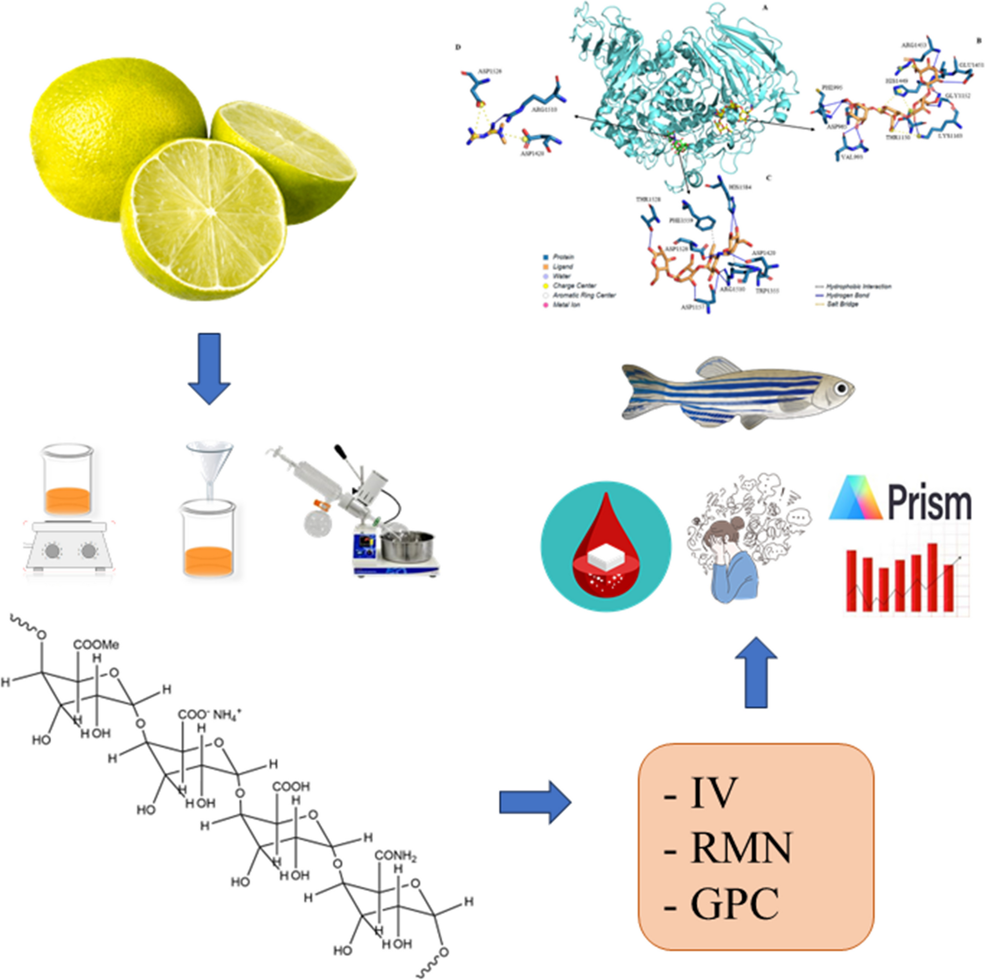 Anxiolytic and Hypoglycemic Effect of Pectins from Galician Lemon Citrus Fruit on Adult Zebrafish (Danio rerio): An In Vivo and In Sílico Approach
