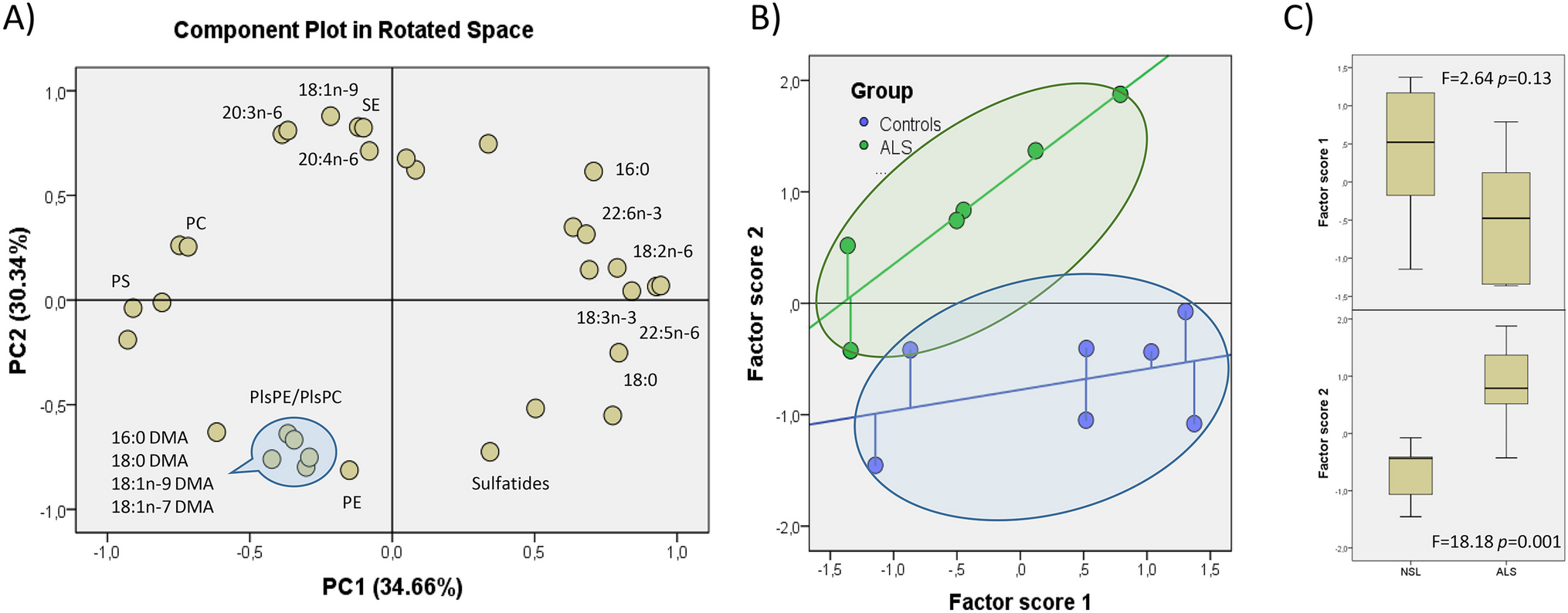 Evidence for alterations in lipid profiles and biophysical properties of lipid rafts from spinal cord in sporadic amyotrophic lateral sclerosis