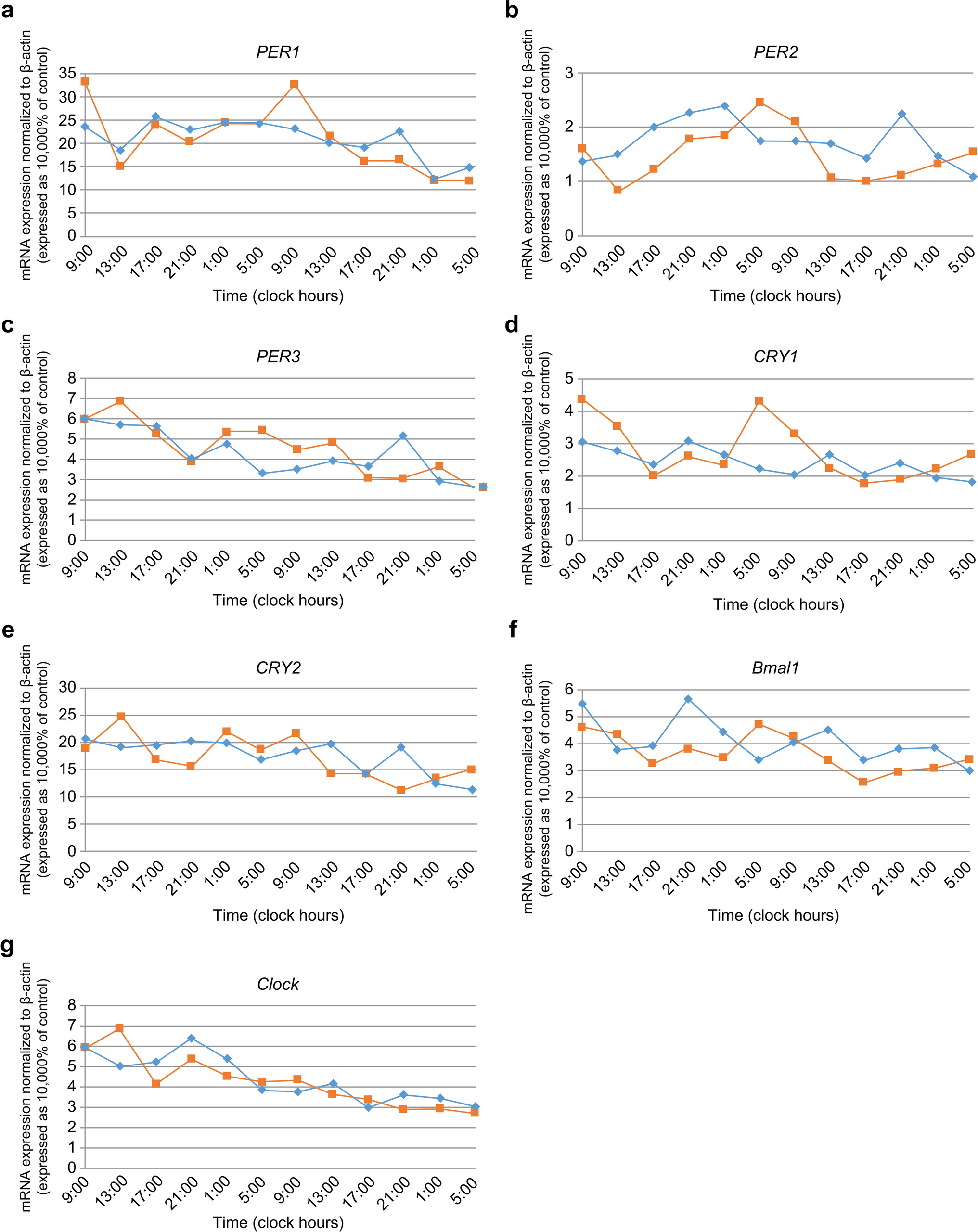Traumatic brain injury-induced disruption of the circadian clock
