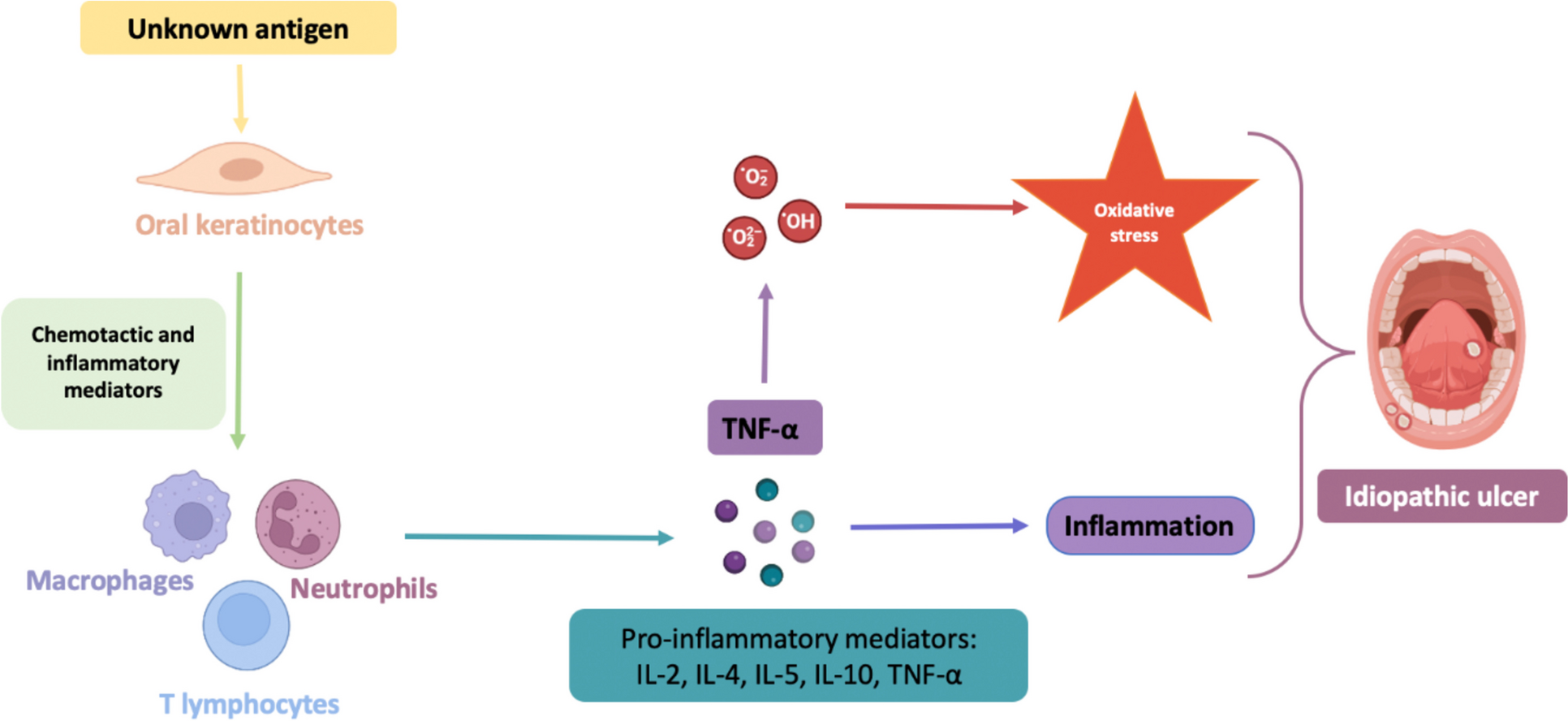 Systemic and local effect of oxidative stress on recurrent aphthous stomatitis: systematic review