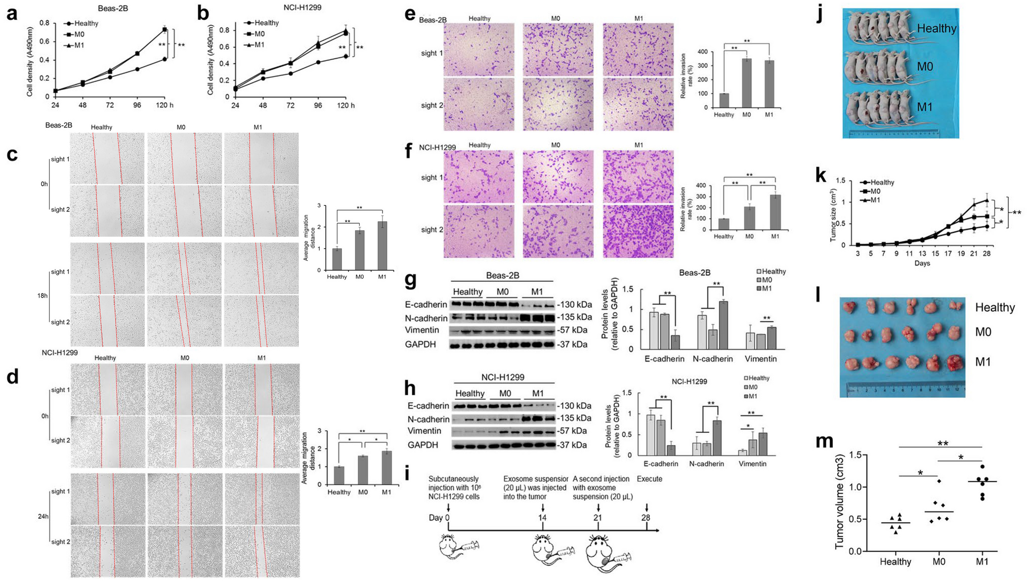 Correction to: Evaluation of EpCAM-specific exosomal lncRNAs as potential diagnostic biomarkers for lung cancer using droplet digital PCR