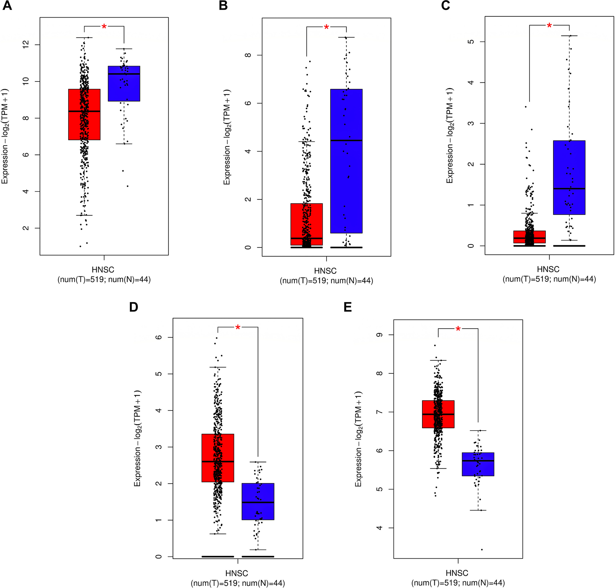 Uncovering the role of aquaporin and chromobox family members as potential biomarkers in head and neck squamous cell carcinoma via integrative multiomics and in silico approach