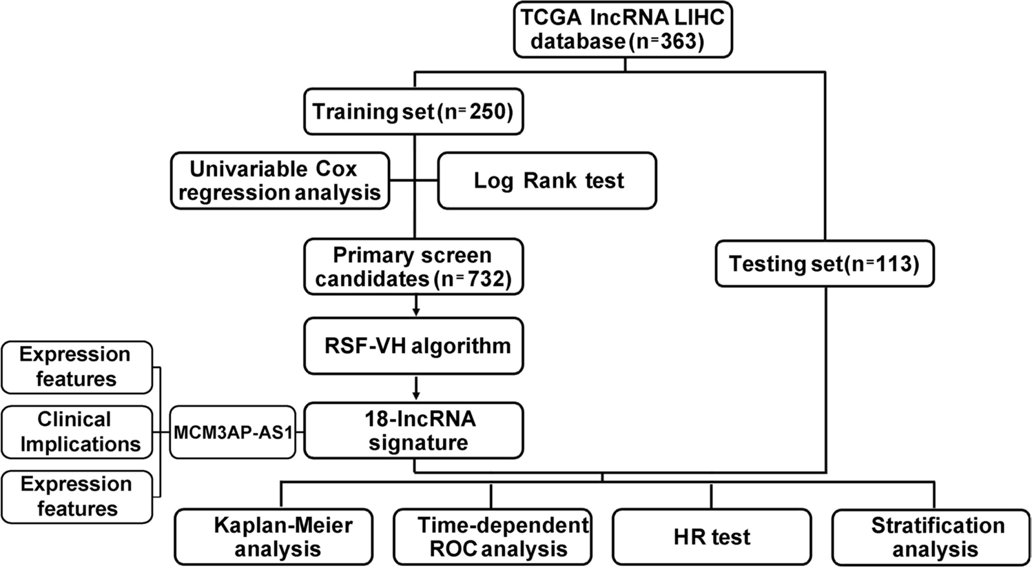 Featured lncRNA-based signature for discriminating prognosis and progression of hepatocellular carcinoma