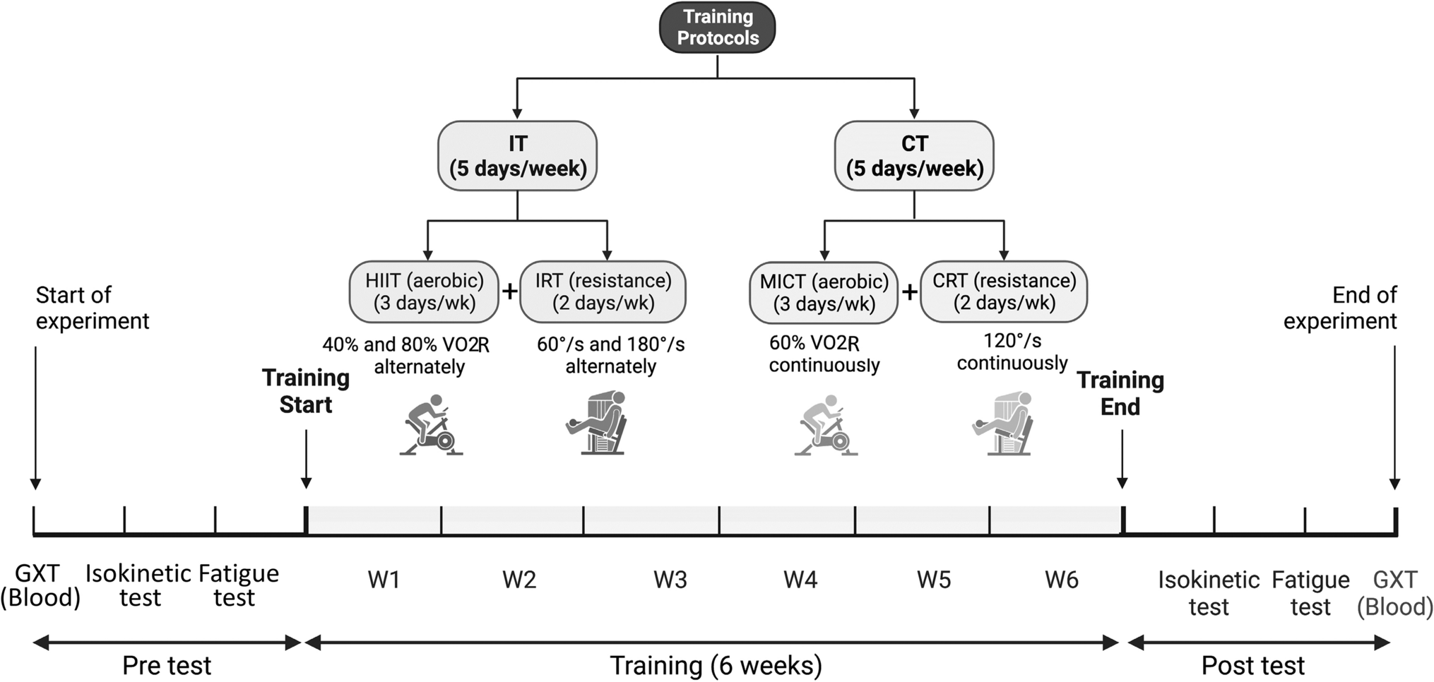 Interval aerobic/resistance exercise training depresses adrenergic-induced apoptosis of lymphocytes in sedentary males