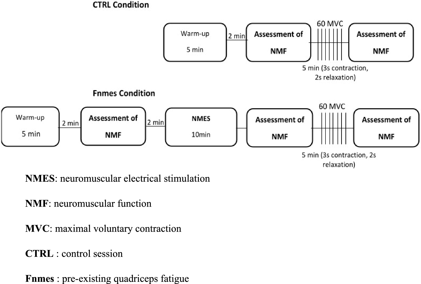 Peripheral fatigue regulation during knee extensor exercise in type 1 diabetes and consequences on the force–duration relationship