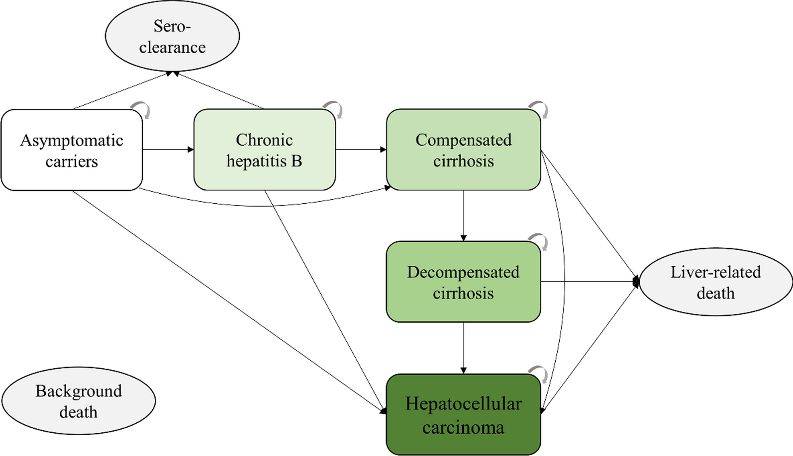 Assessing the impact of comorbid type 2 diabetes mellitus on the disease burden of chronic hepatitis B virus infection and its complications in China from 2006 to 2030: a modeling study