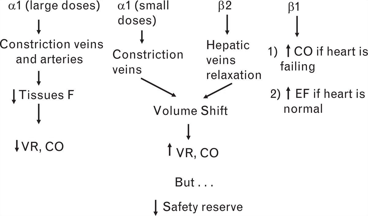Norepinephrine produces two different haemodynamic effects depending on the dose used