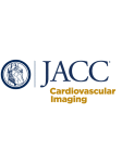 Left Atrial Imaging Prior to Cardioversion: Leveraging Computed Tomography to Rule Out Thrombus (LACLOT)