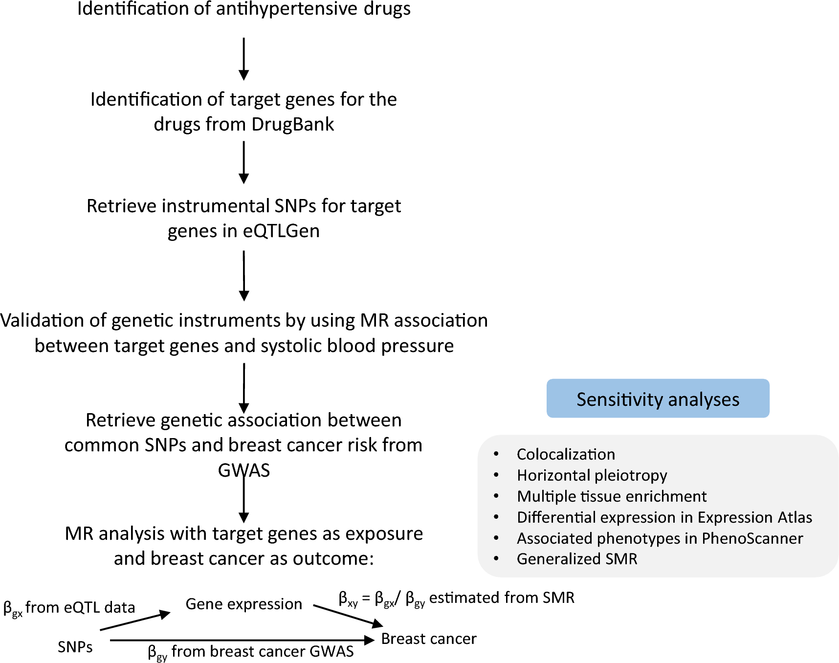 Antihypertensive drug targets and breast cancer risk: a two-sample Mendelian randomization study