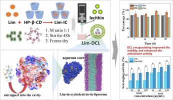 Novel nano-encapsulated limonene: Utilization of drug-in-cyclodextrin-in-liposome formulation to improve the stability and enhance the antioxidant activity
