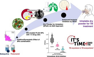 A quality-by-design strategic approach for the development of bedaquiline-pretomanid nanoparticles as inhalable dry powders for TB treatment