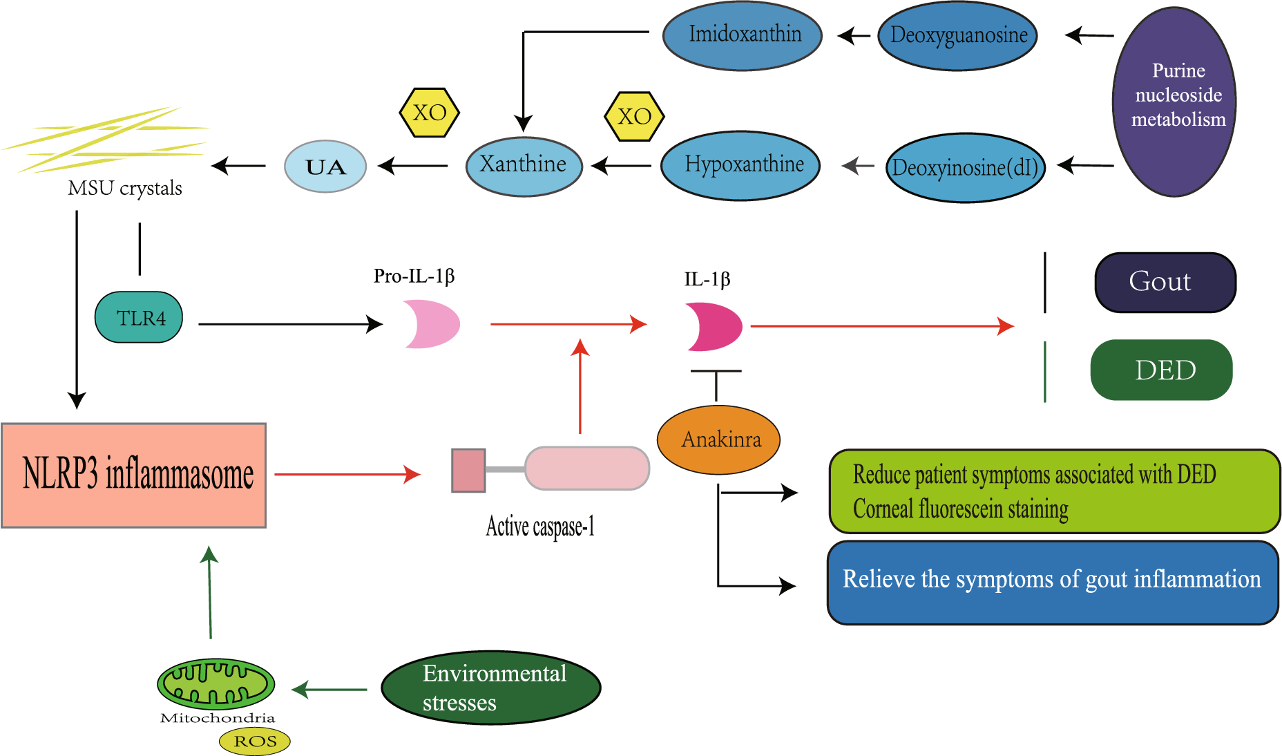 Correlation between gout and dry eye disease