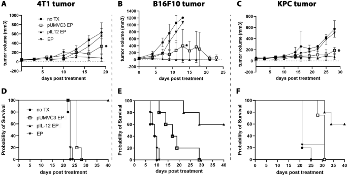 Modification of the tumor microenvironment enhances immunity with plasmid gene therapy