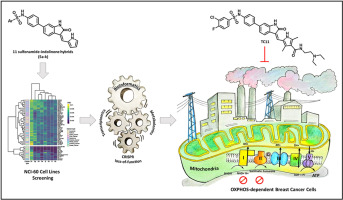 Novel sulfonamide-indolinone hybrids targeting mitochondrial respiration of breast cancer cells